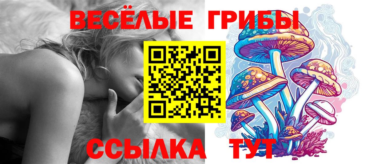 Псилоцибиновые грибы ЛСД Грязи